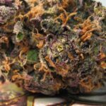 Grape LA Marijuana Strain